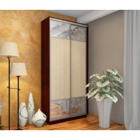 Шкаф-купе двухдверный 1200х450х2400