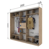 Шафа-купе 2500х450х2200