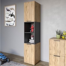 Пенал закритий LION Краш з 2 дверцятами Дуб аппалачі/Антрацит (LION-044034)